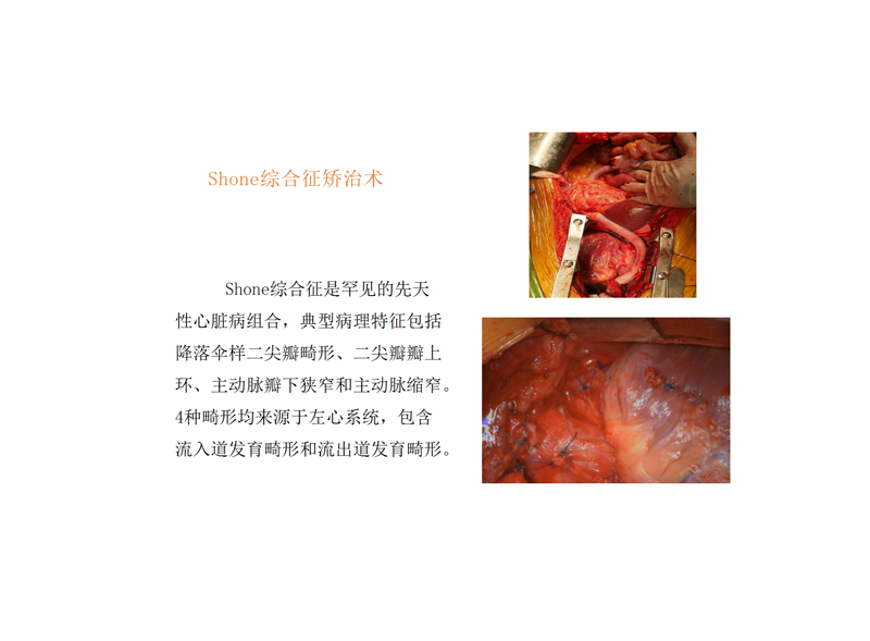 新技术项目（1）富智已审_15.png