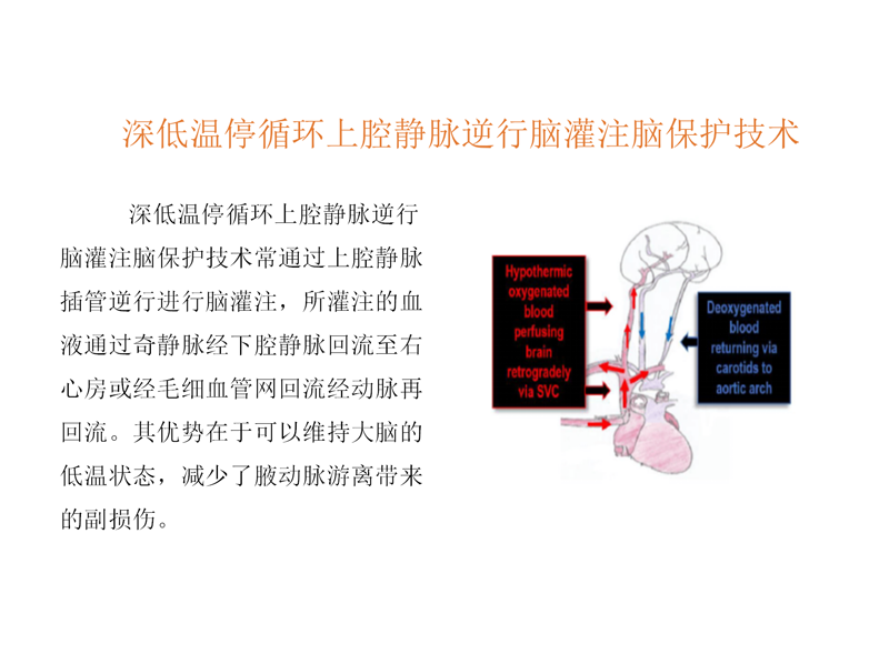 新技术项目  (2)王巍已审_01.png