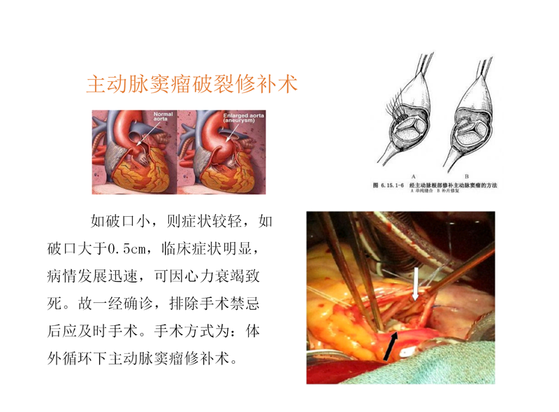 新技术项目  (2)王巍已审_08.png