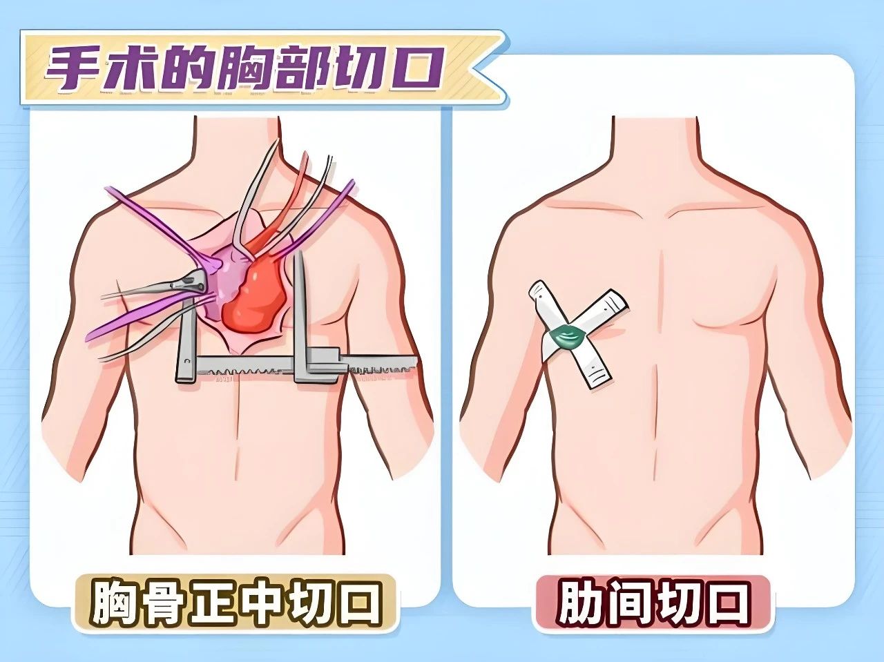 微信图片_20250312171226.jpg